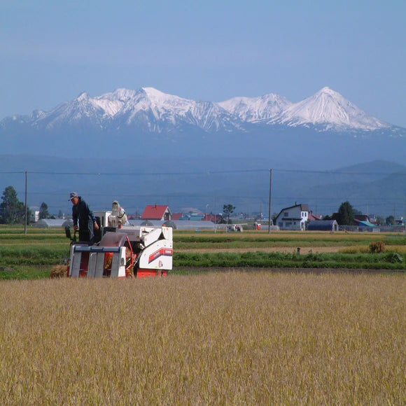 The Rice Factory Hokkaido Nanatsuboshi -北海道 ななつぼし