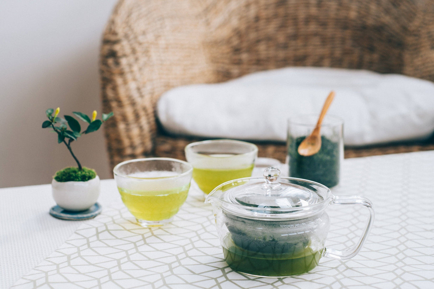 HARIO Japan ChaCha Kyusu Zen Tea Pot