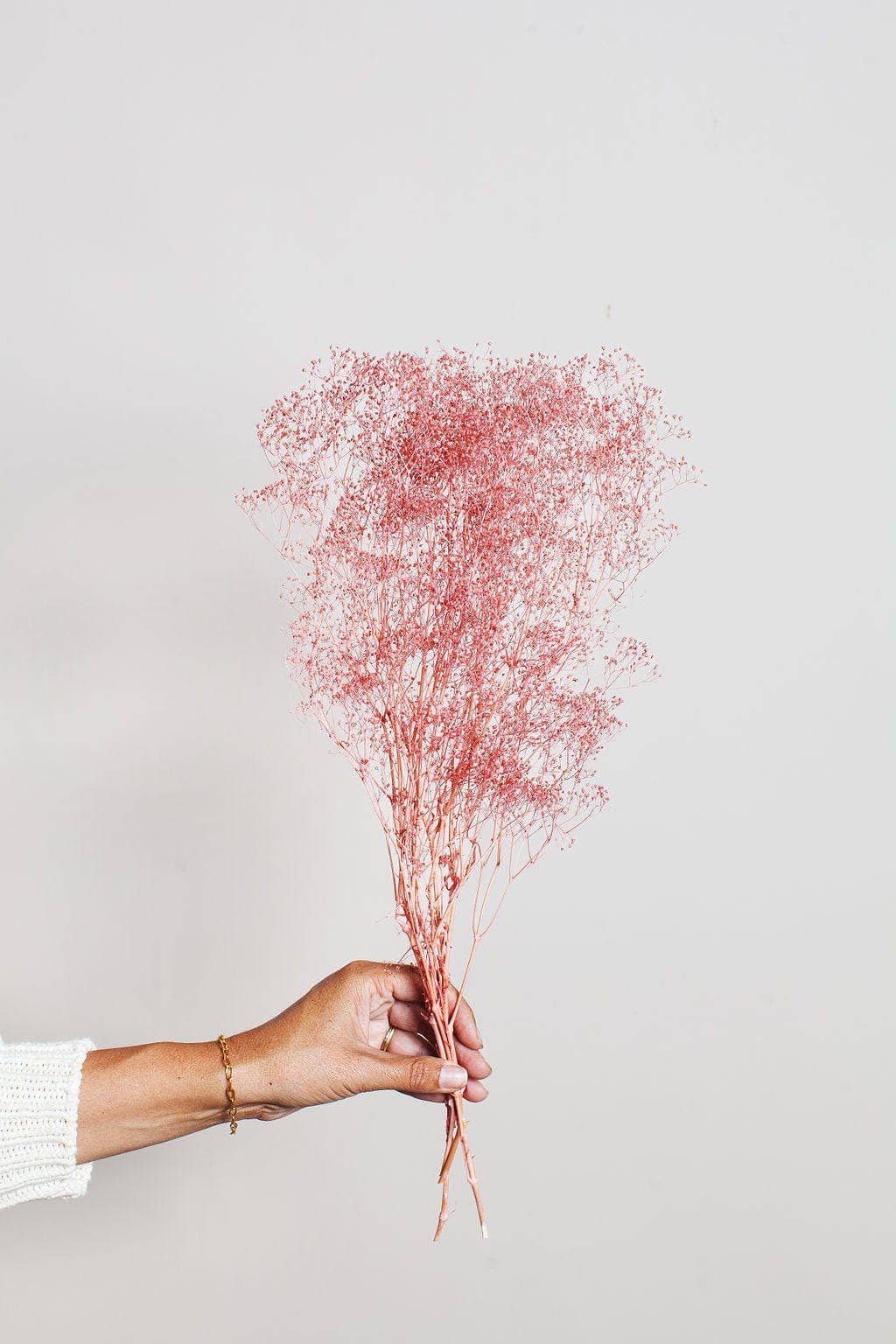 Cloud Pink Baby's Breath