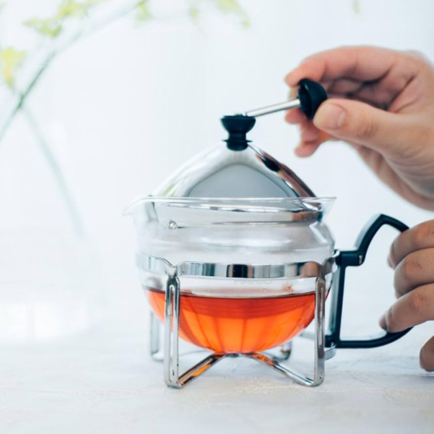 HARIO USA - "Chaor" Tea Maker 600mL Silver