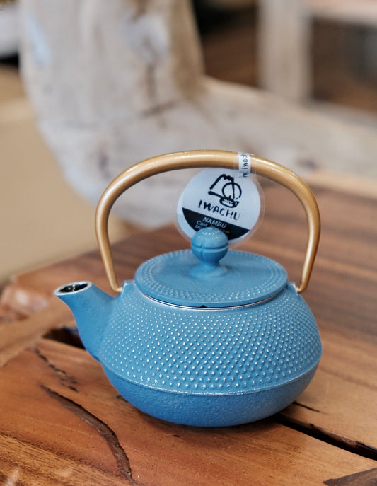 IWACHU Nambu Tekki Cast Iron 320ml “sky blue”Teapot (Gift Box)