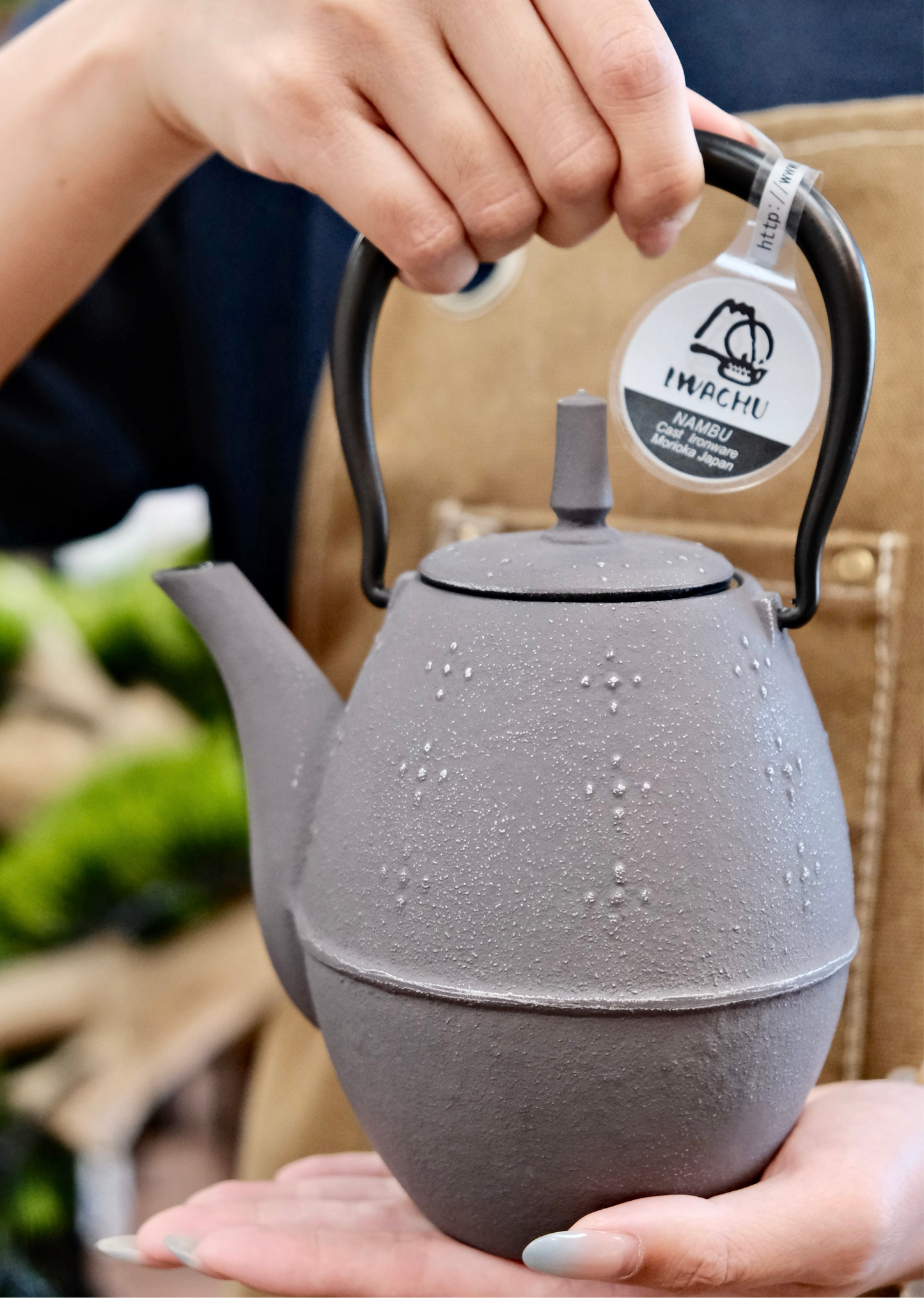 IWACHU Nambu Tekki Cast Iron 600ml Silver Teapot (Gift Box)