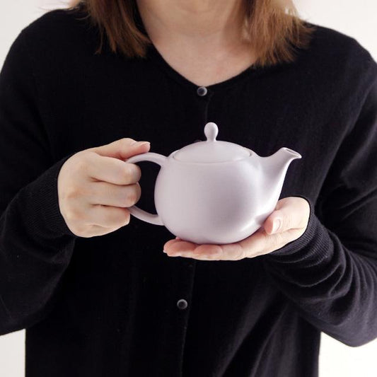 SALIU 祥SYO Earthen Teapot Japanese Tea Pot (330ml)