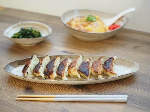 Japan Minoware Yakimono Long Oval Plate