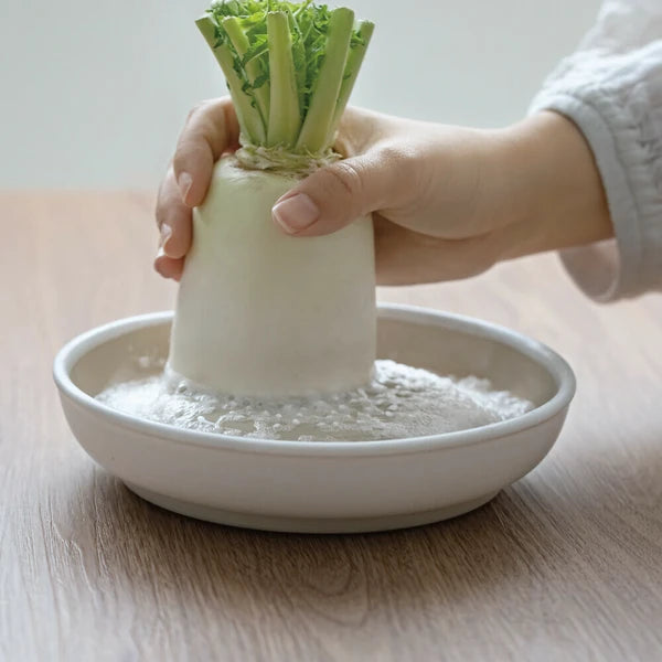 Japan Made Iwami ware Grater/Slicer - Large