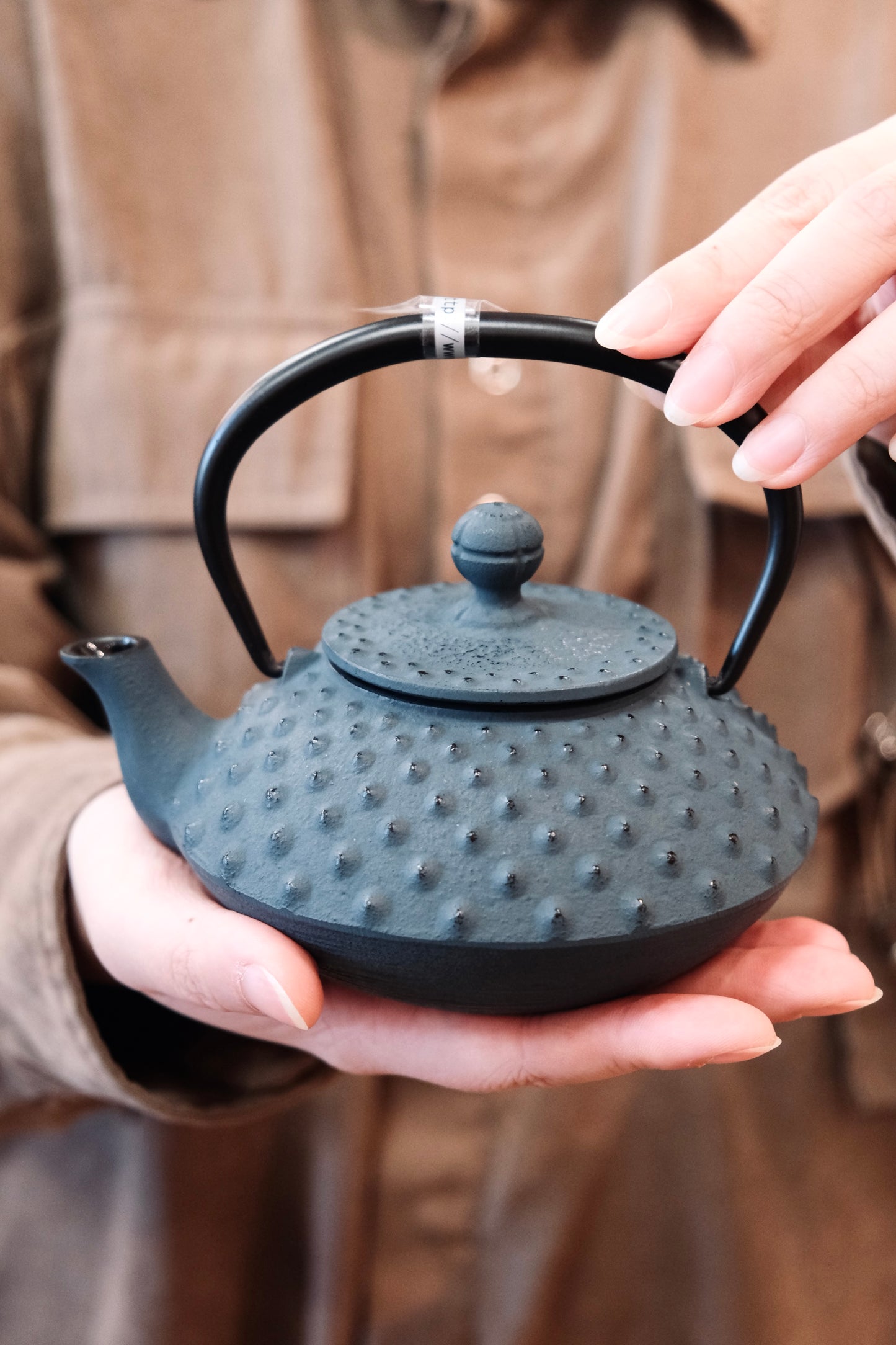IWACHU Nambu Tekki Cast Iron 350ml Dark Blue Teapot (Gift Box)
