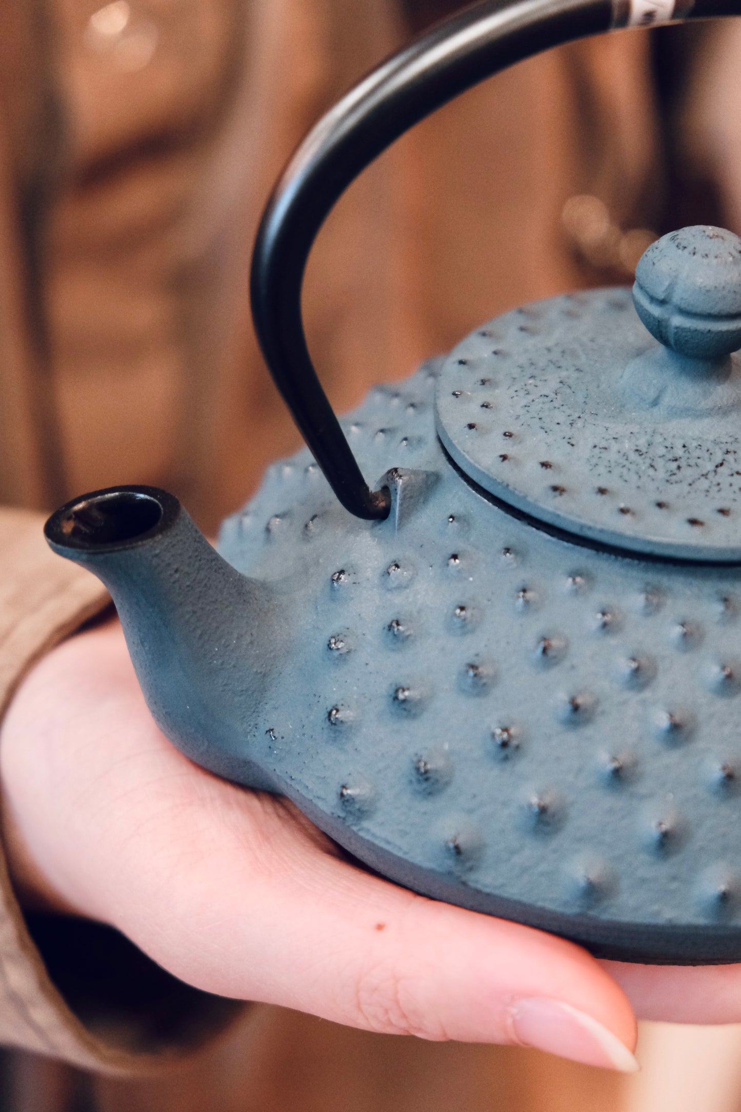 IWACHU Nambu Tekki Cast Iron 350ml Dark Blue Teapot (Gift Box)