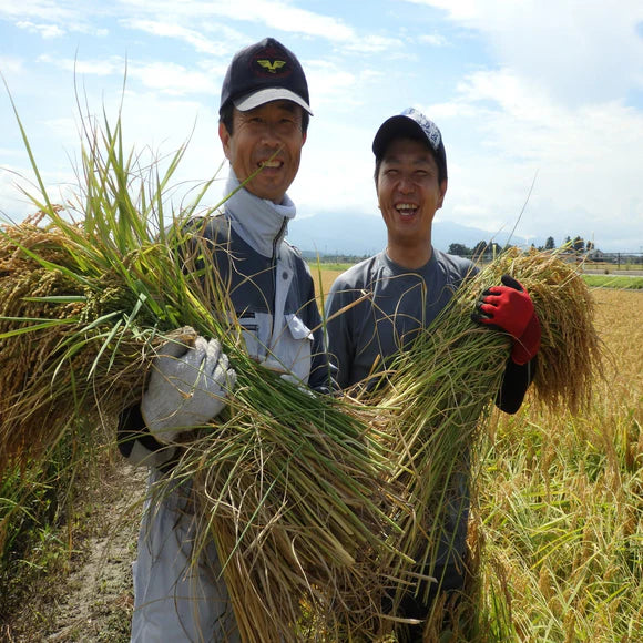 The Rice Factory Niigata Koshihikari -新潟 こしひかり