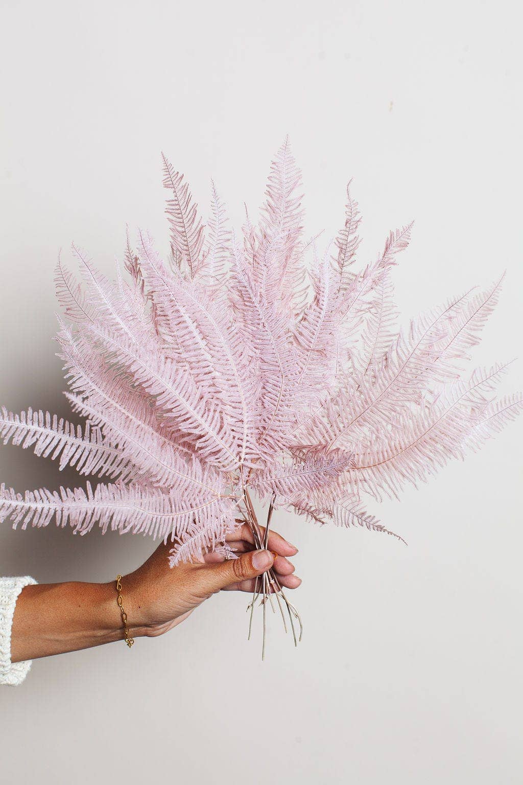 Preserved Mauve Star Fern