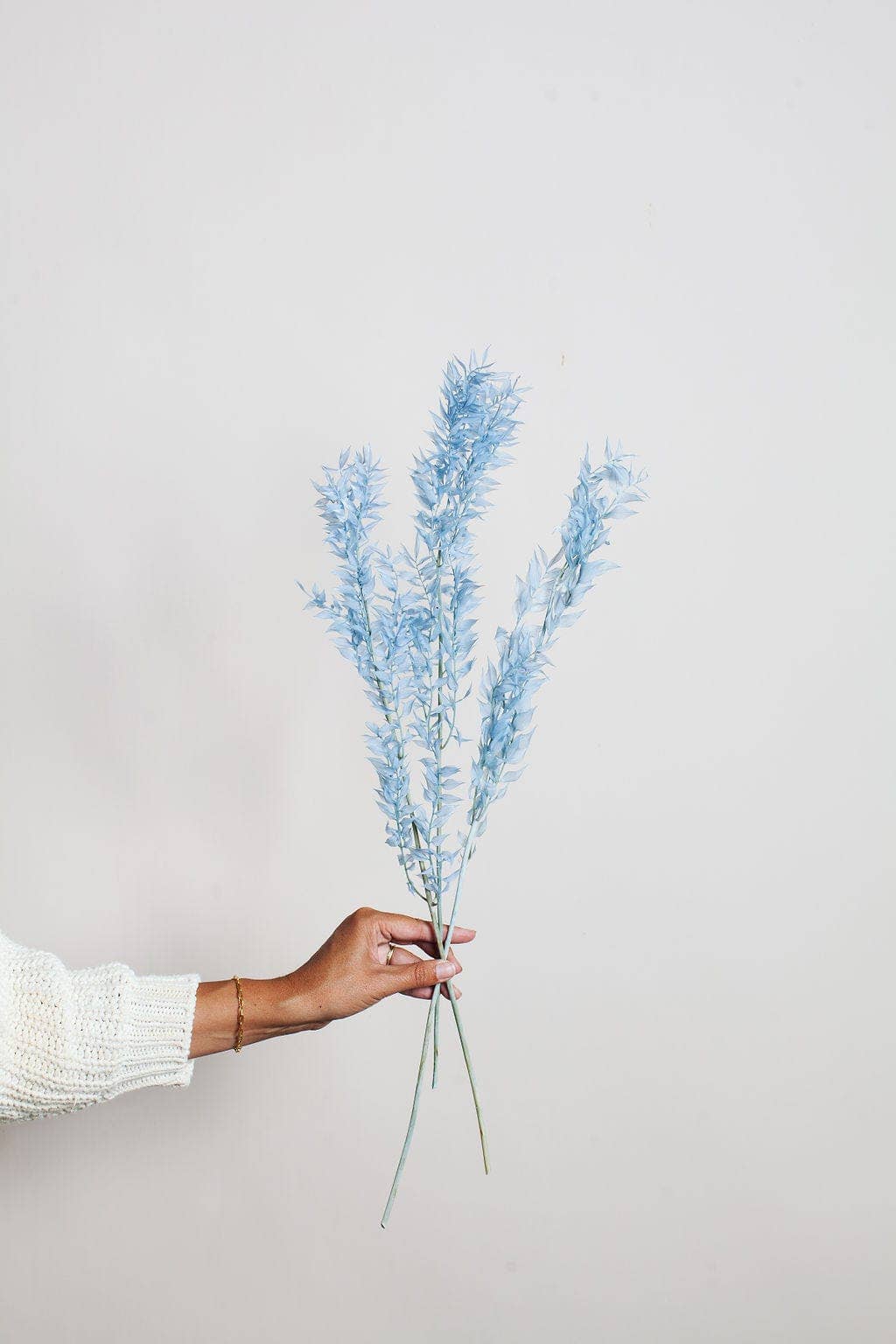 Blue Preserved Ruscus