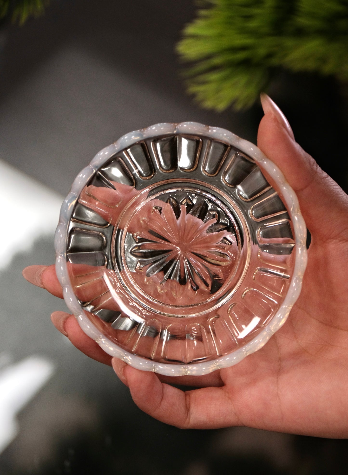雪の花 Snow Flowers Hirota Glass selection
