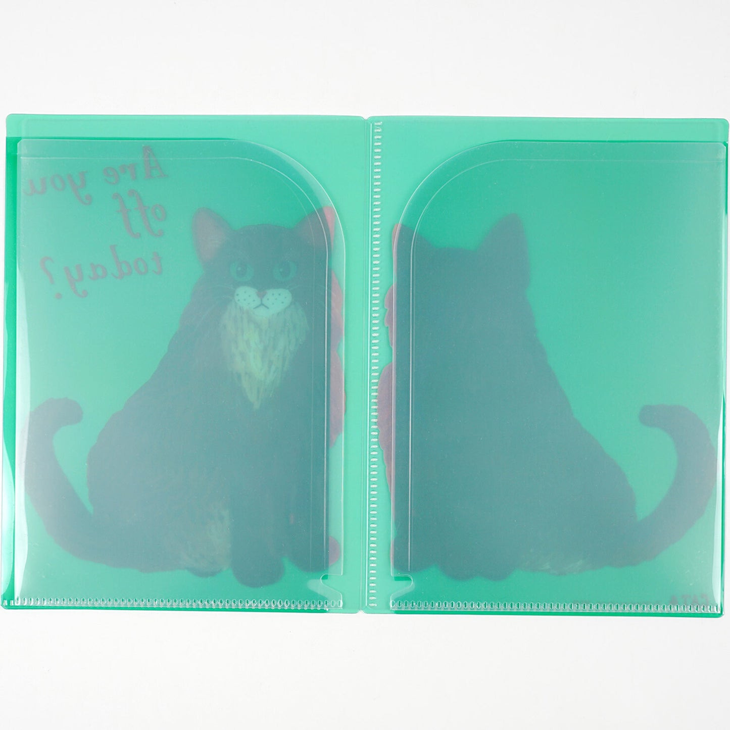 Kahoko Sodeyama File Organizer （Green）