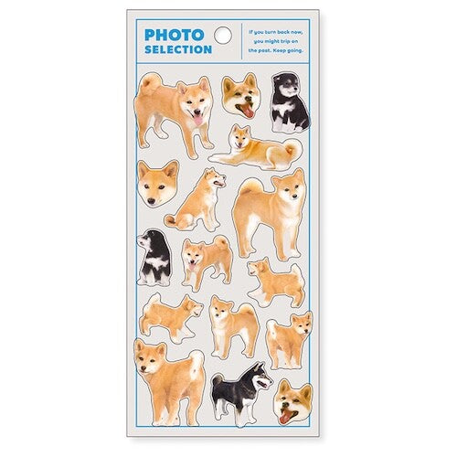 MIND WAVE Photo Selection Animal Sticker