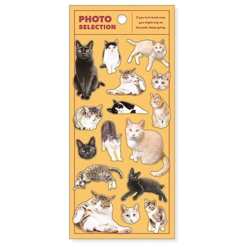 MIND WAVE Photo Selection Animal Sticker