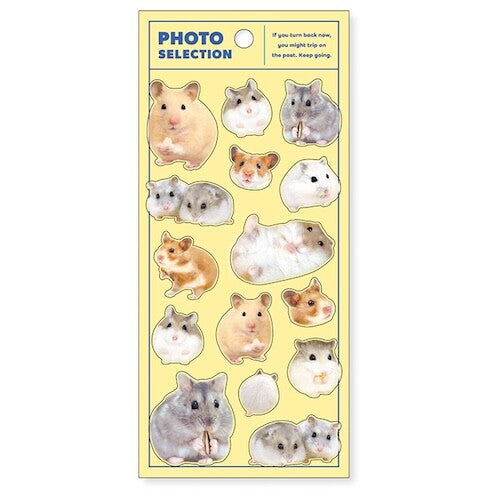 MIND WAVE Photo Selection Animal Sticker
