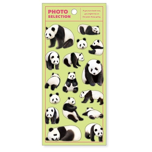 MIND WAVE Photo Selection Animal Sticker