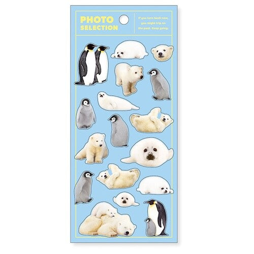 MIND WAVE Photo Selection Animal Sticker