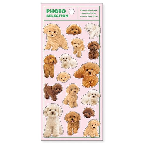 MIND WAVE Photo Selection Animal Sticker
