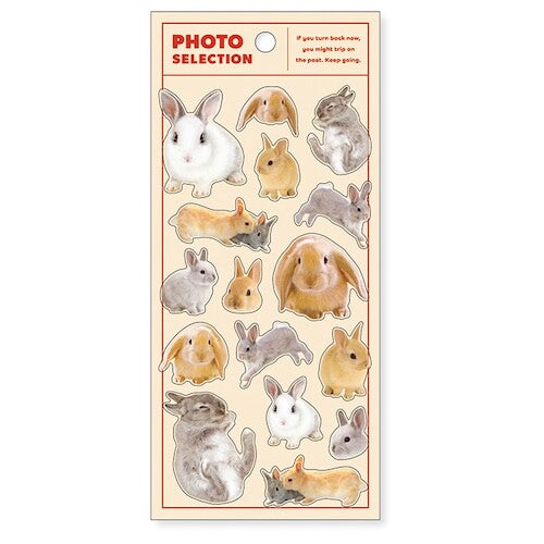 MIND WAVE Photo Selection Animal Sticker
