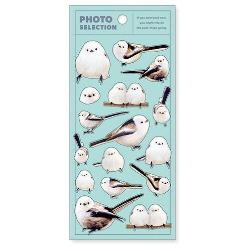 MIND WAVE Photo Selection Animal Sticker