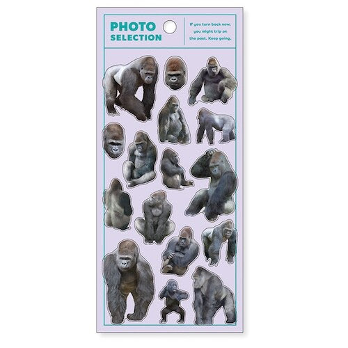 MIND WAVE Photo Selection Animal Sticker