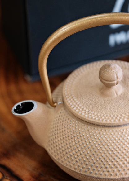 IWACHU Nambu Tekki Cast Iron 320ml Teapot （Gold）