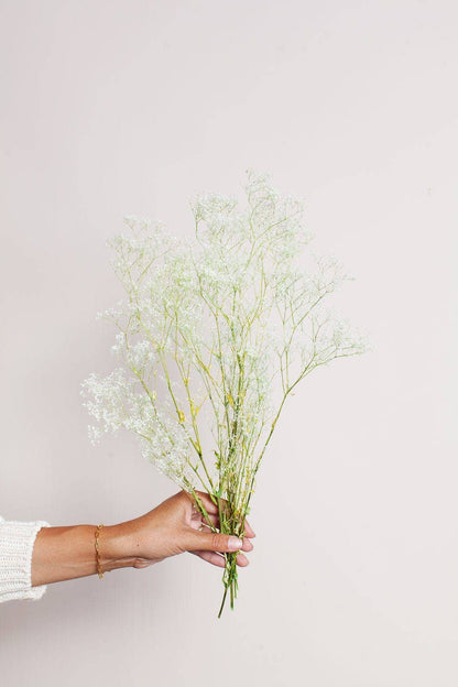 Preserved White Green Baby's Breath