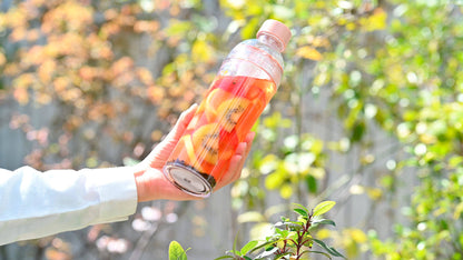 HARIO Filter-in Portable Matcha Bottle