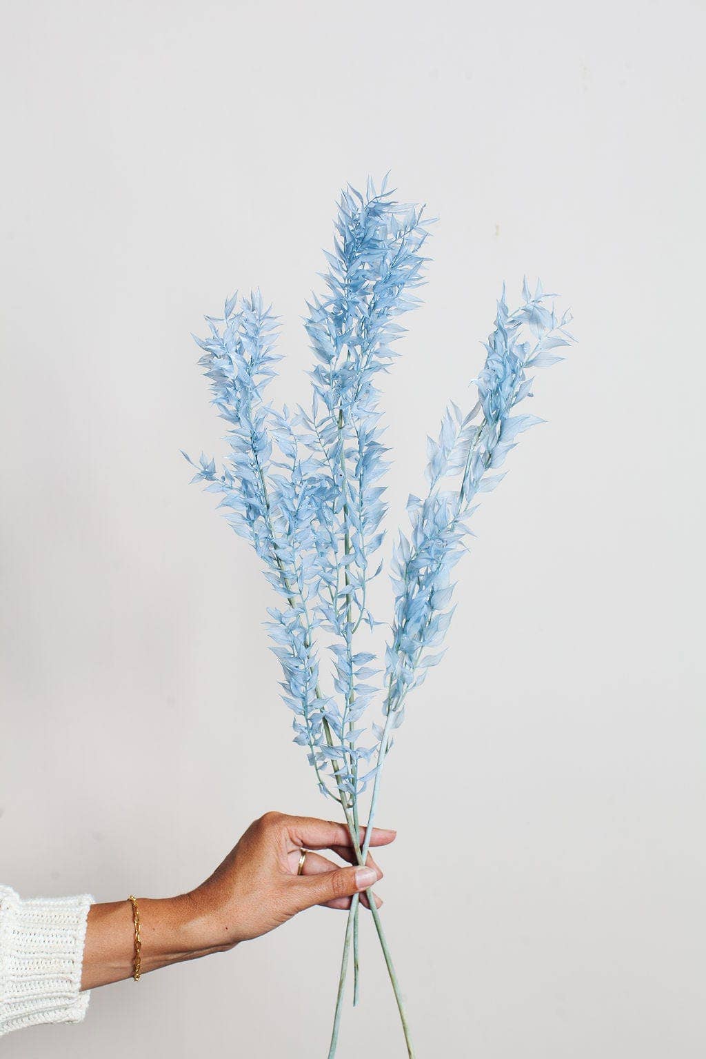 Blue Preserved Ruscus