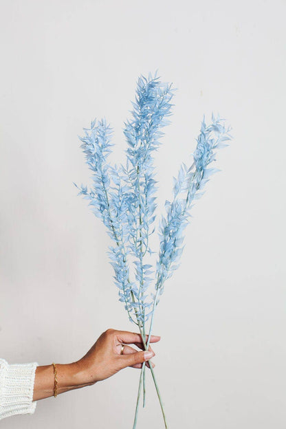Blue Preserved Ruscus
