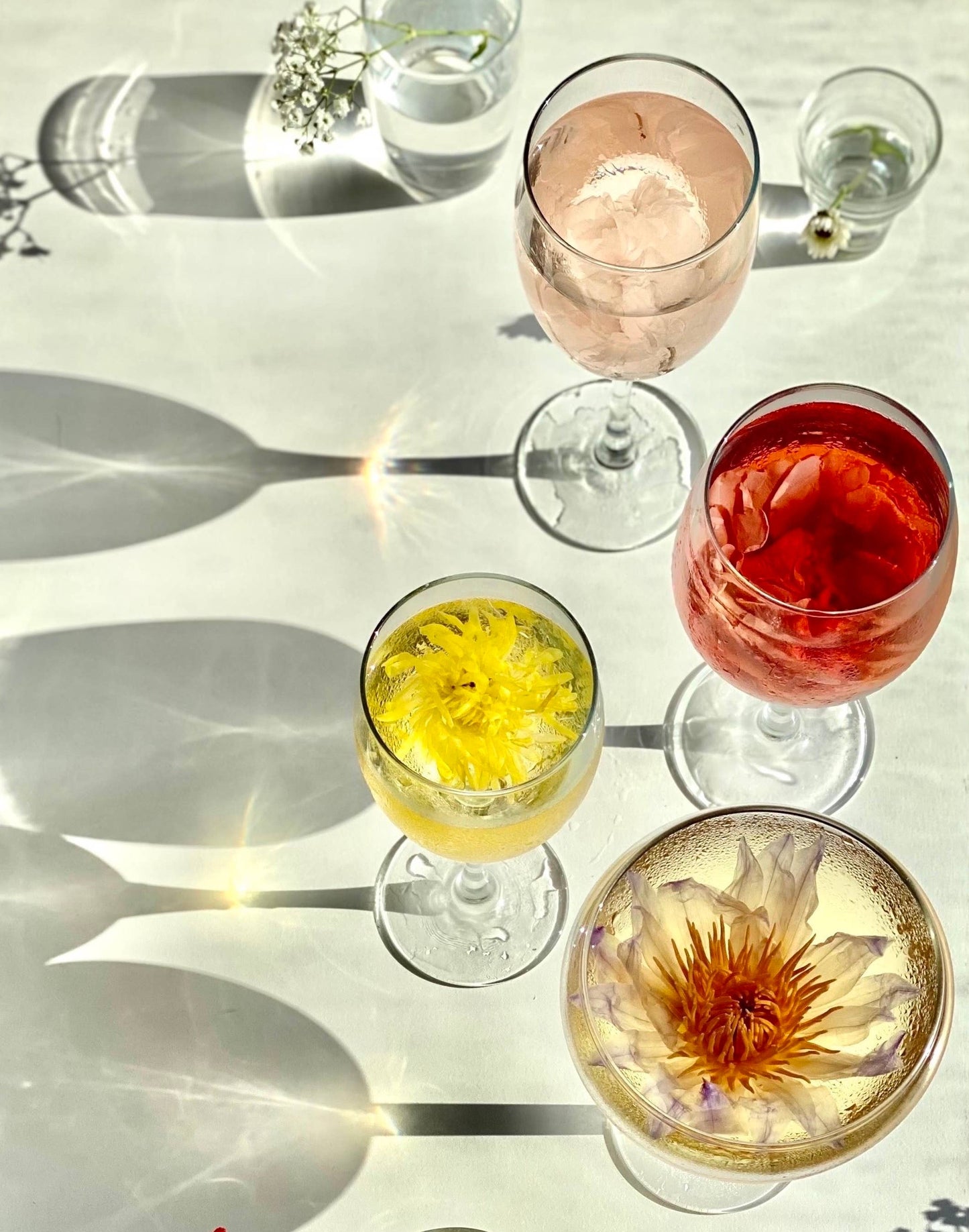 The Qi - Individually Wrapped Flower teas (herbal tea)