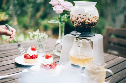 HARIO USA - Tea Dripper LARGO 800 mL Stand Set