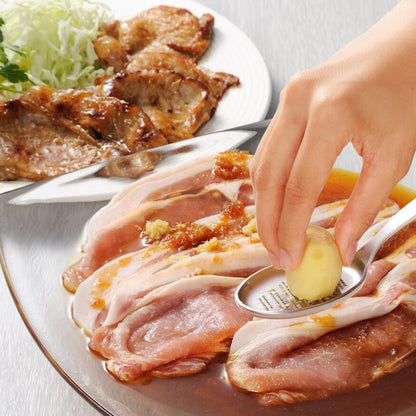 Japan Made Stainless steel Condiment Grater Spoon