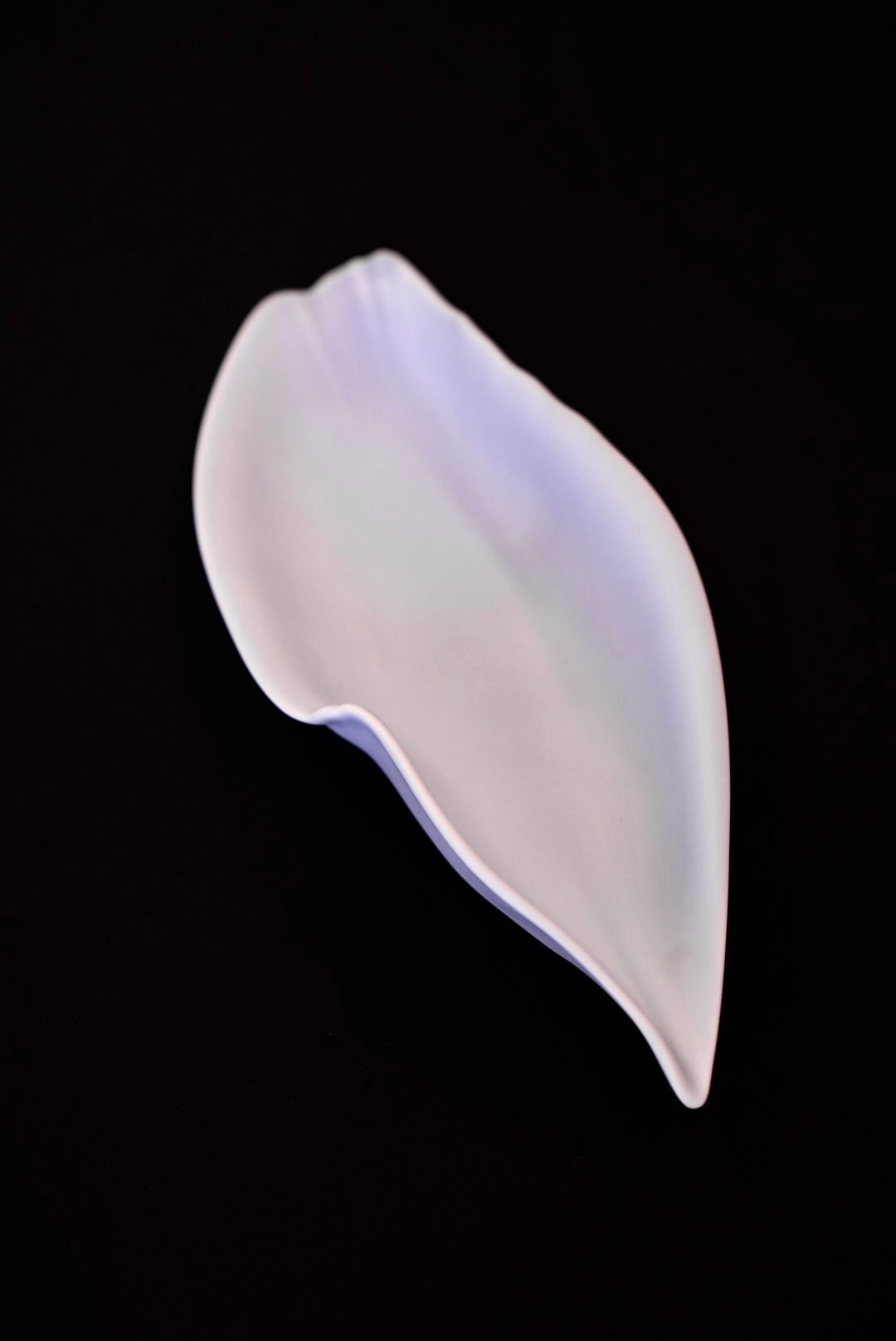 Arita Yaki  Handmade Calla lily shape Series