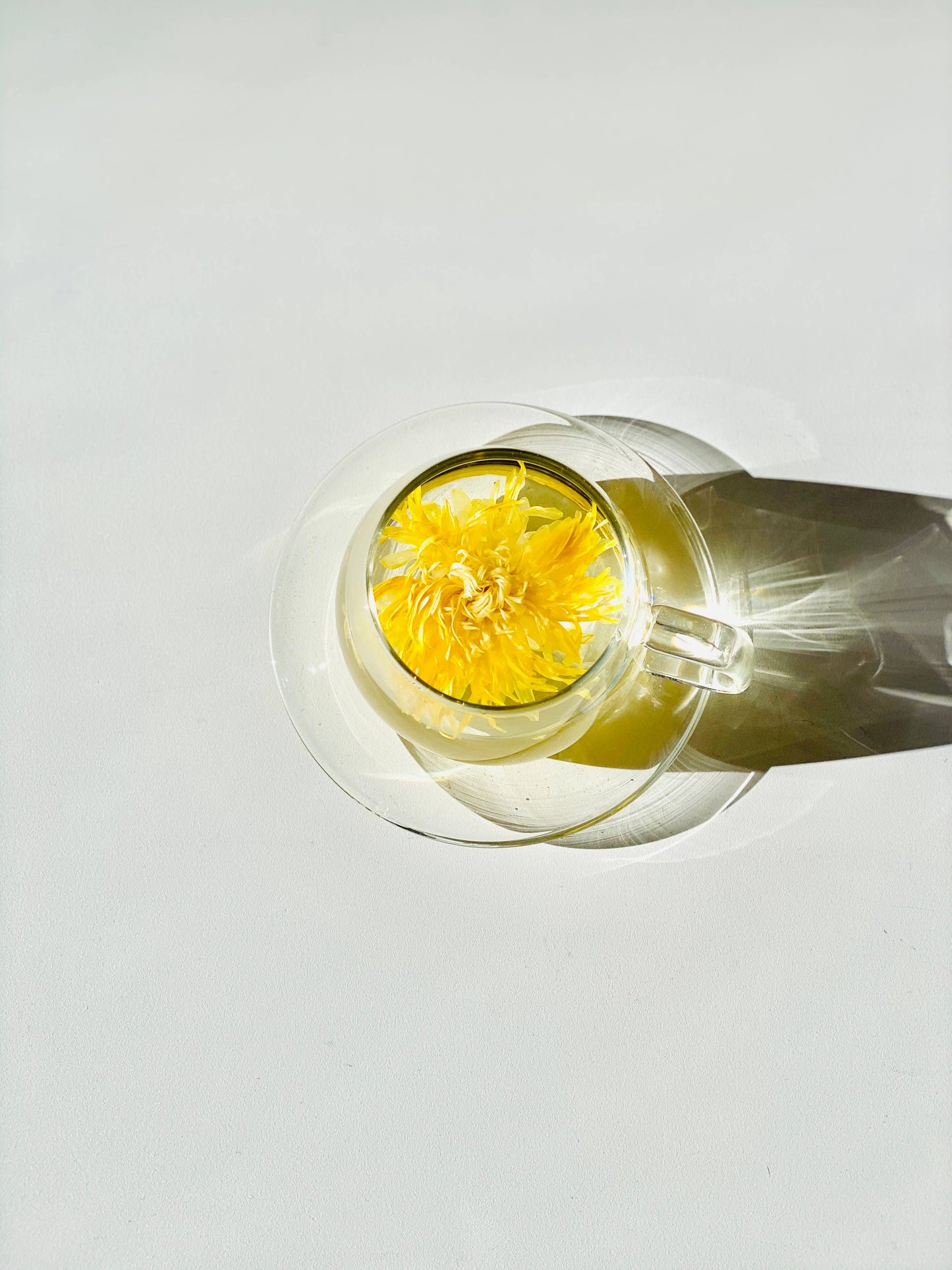 The Qi - Individually Wrapped Flower teas (herbal tea)