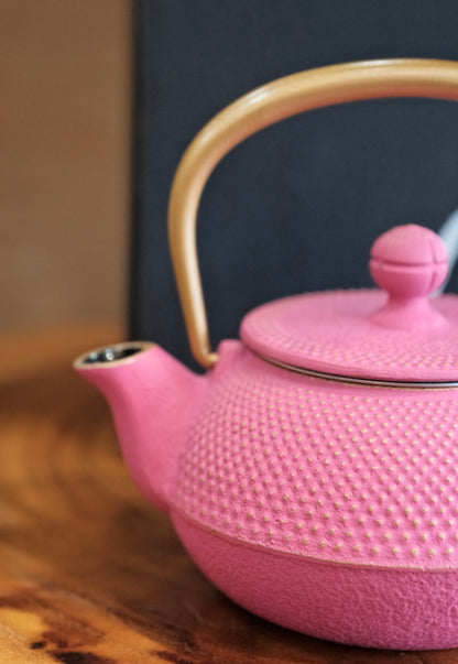 IWACHU Nambu Tekki Cast Iron 320ml Teapot （Pink)