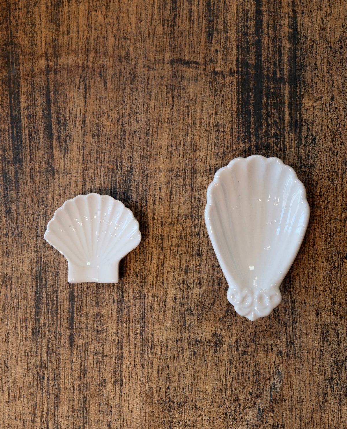 Taro Uchiyama | Shell Sauce Dish