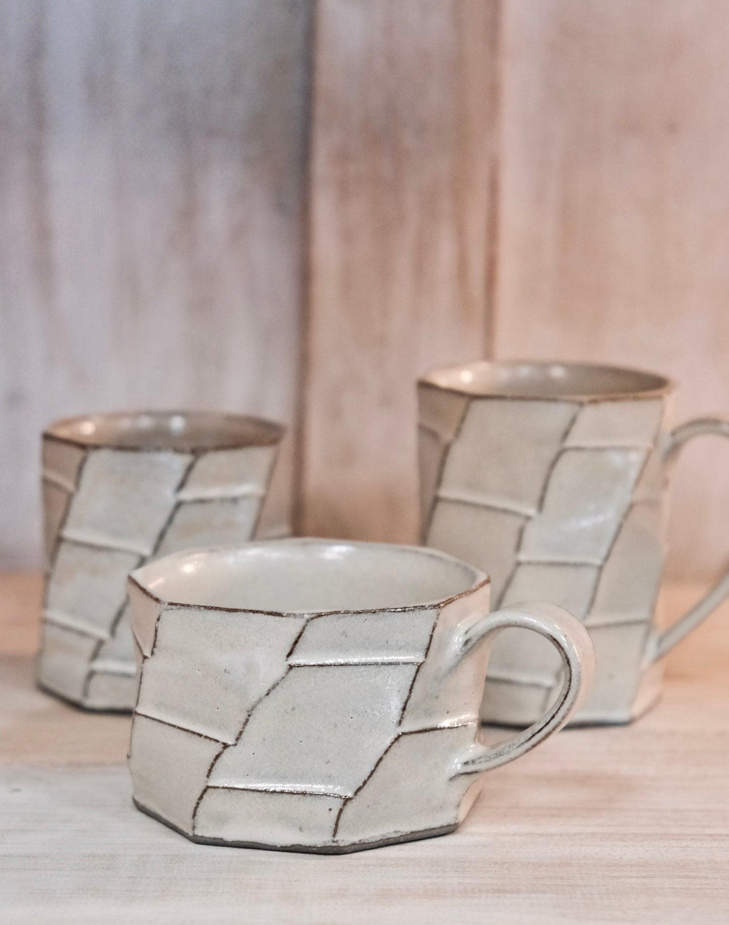 Shigaraki Yaki Ceramic Geometry Series