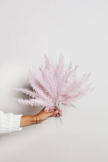 Preserved Mauve Star Fern
