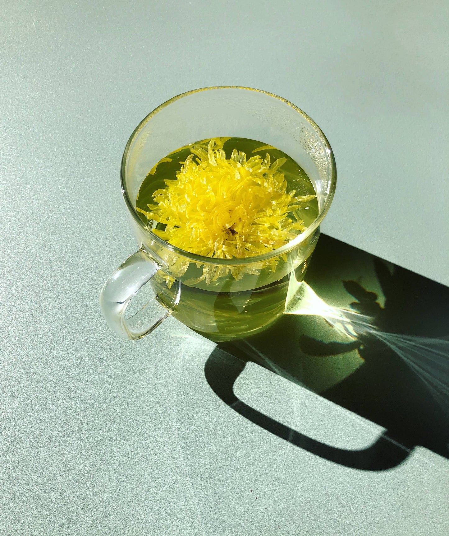 The Qi - Individually Wrapped Flower teas (herbal tea)