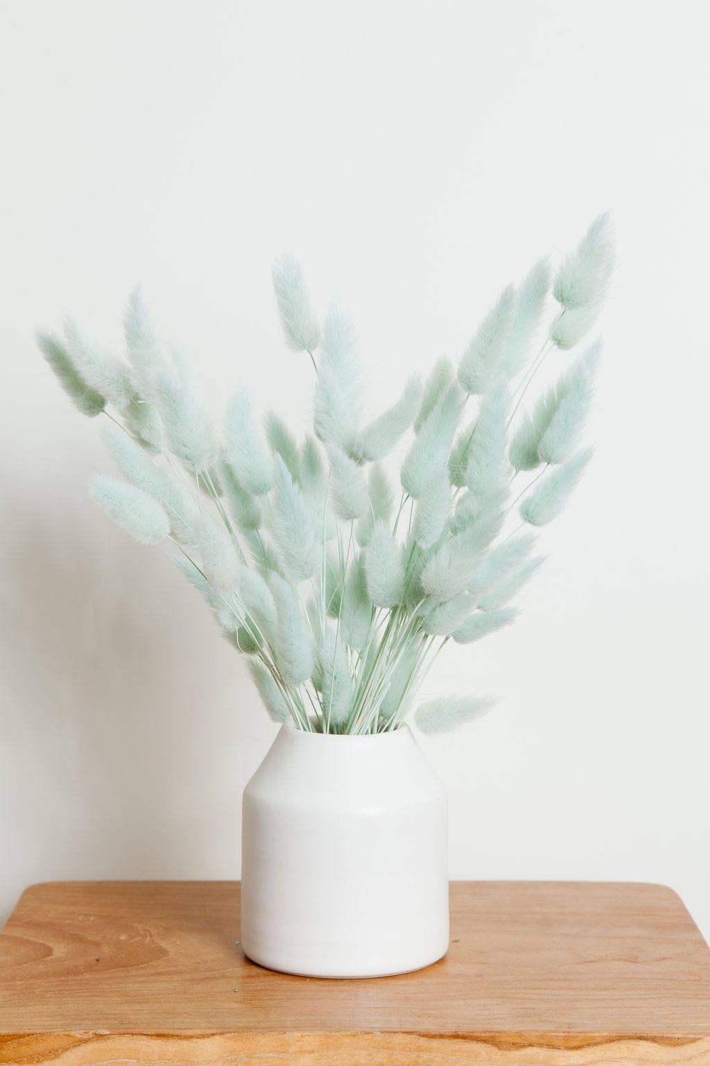 Preserved Blue Bunny Tail (1 stem)