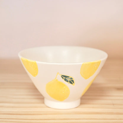 Kikuso Kiln Japan Hasami ware handcraft Lemon 5pcs set
