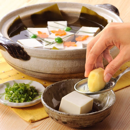 Japan Made Stainless steel Condiment Grater Spoon