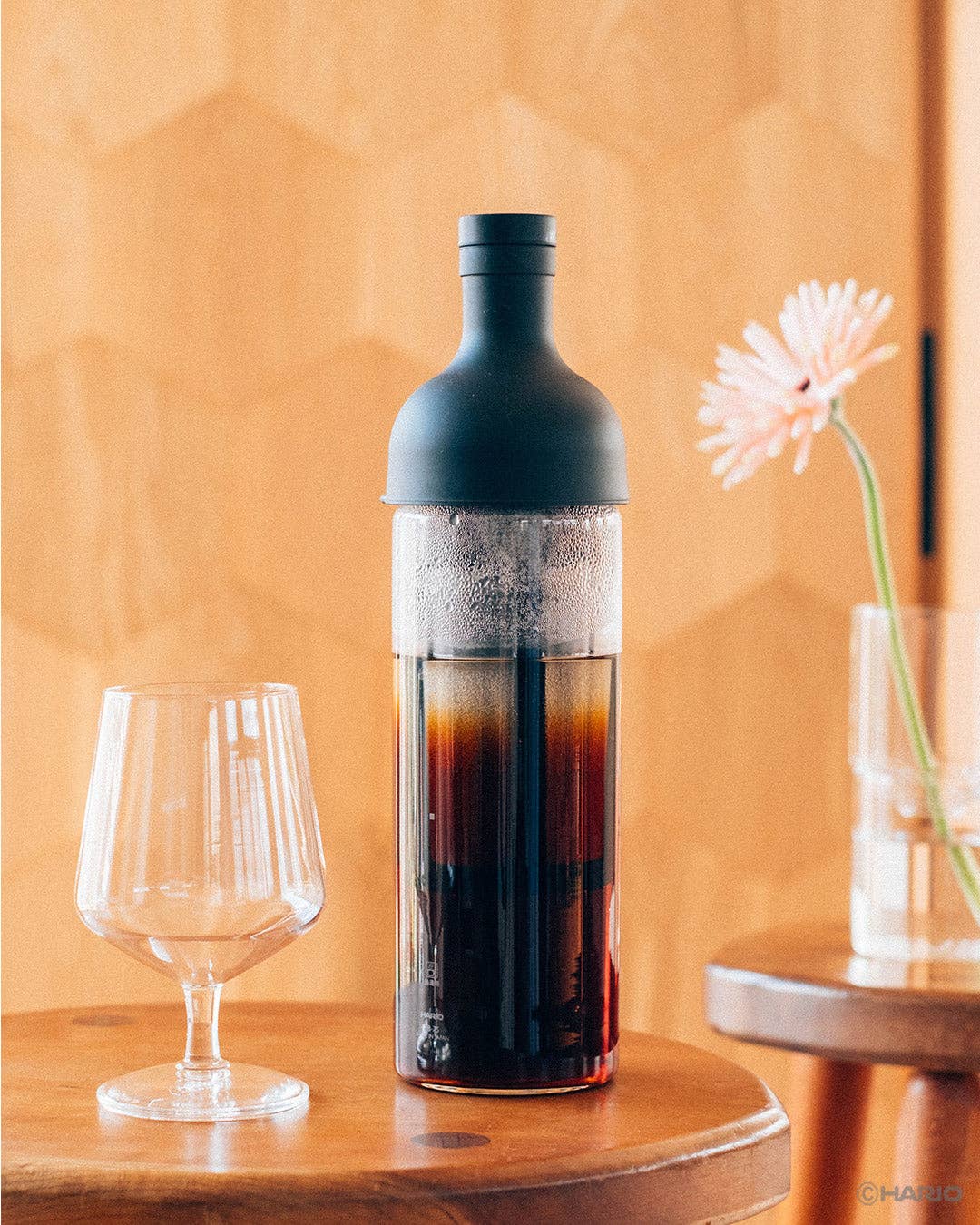 HARIO USA - Cold Brew Coffee Wine Bottle 650mL