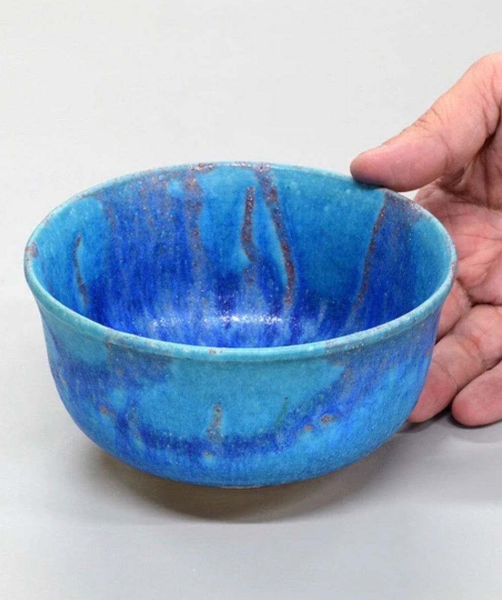 Japan Handmade Shigaraki ware Collector’s Special Edition Series
信楽焼