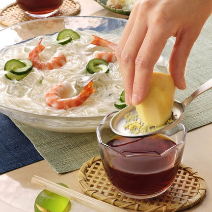 Japan Made Stainless steel Condiment Grater Spoon