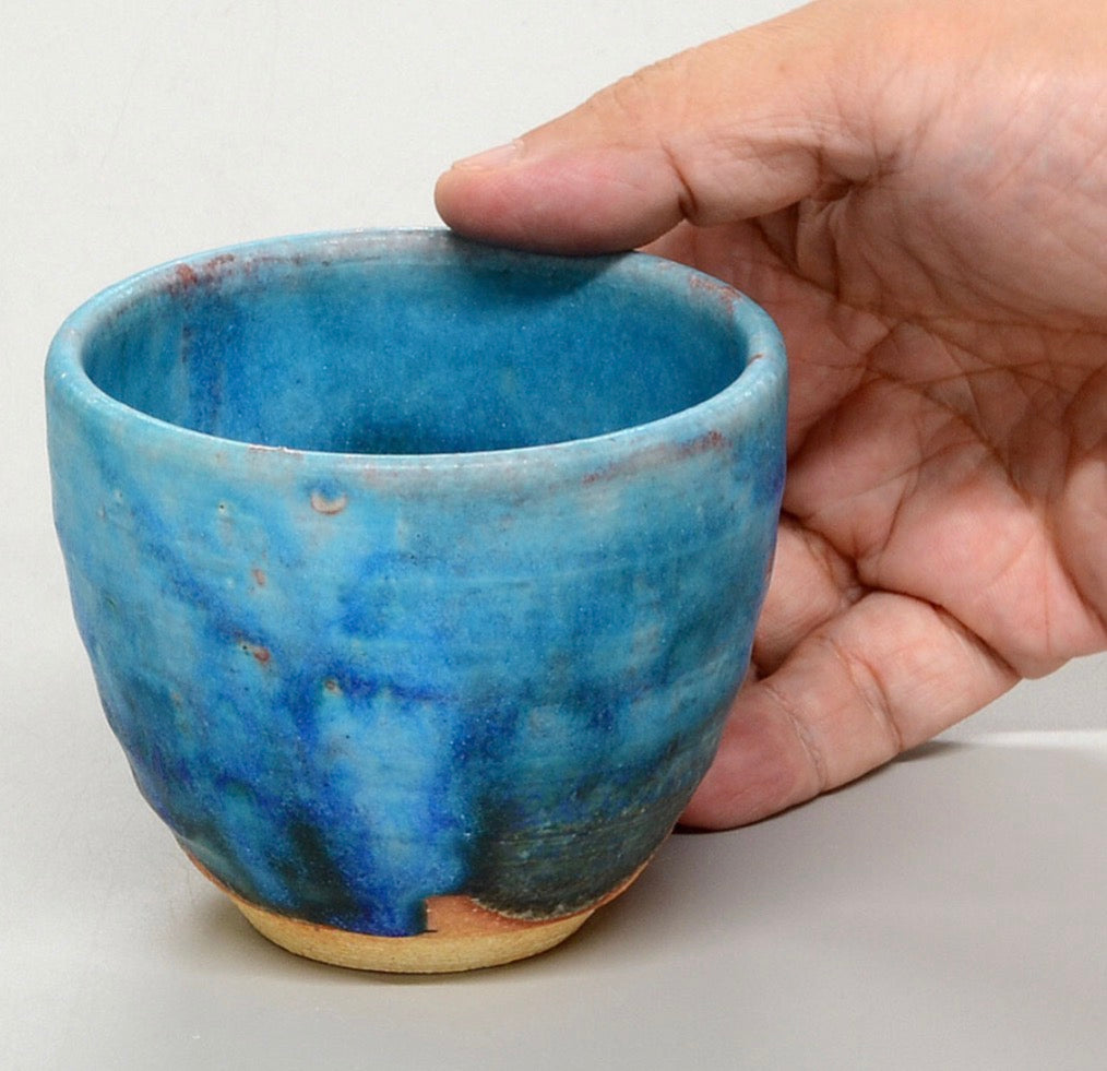 Japan Handmade Shigaraki ware Collector’s Special Edition Series
信楽焼