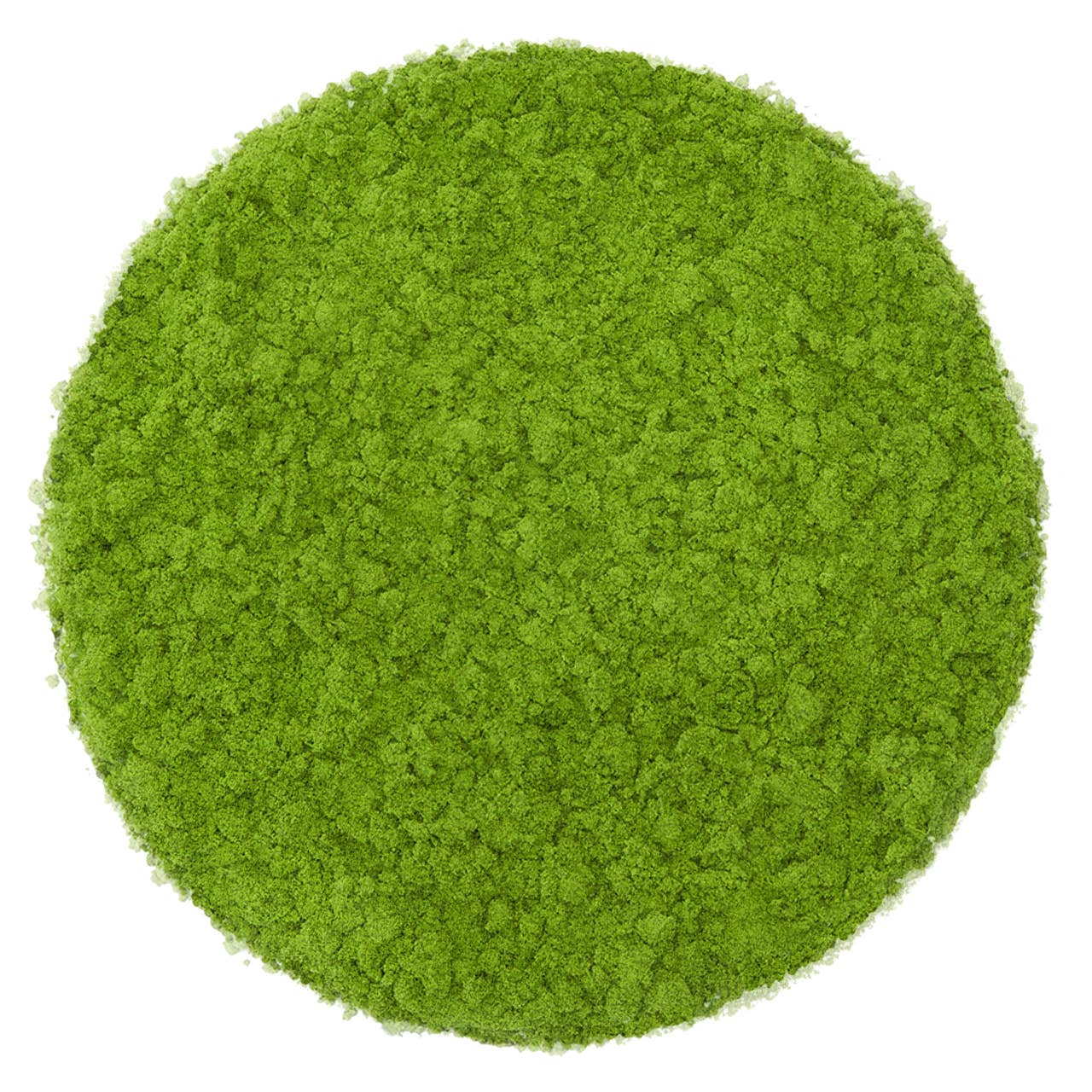 Sugimoto Tea Company - Premium Matcha Ura (麗)