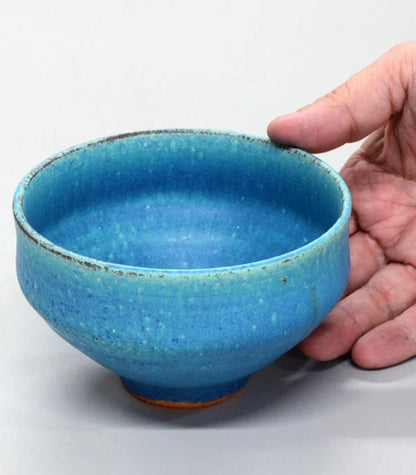 Japan Handmade Shigaraki ware Collector’s Special Edition Series
信楽焼