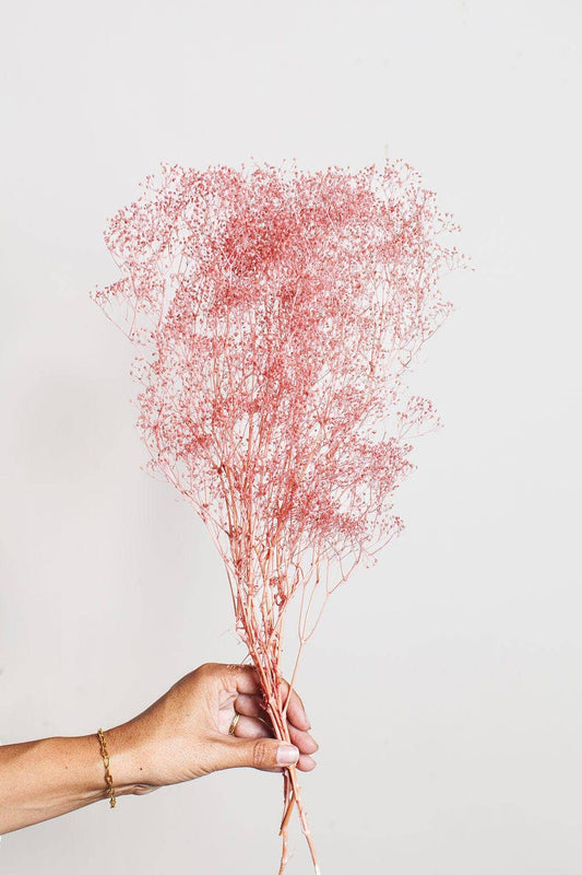 Cloud Pink Baby's Breath